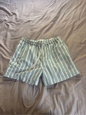 Stripe Swim Trunks Pacsun